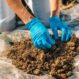 Understanding Your Soil: The First Step to Higher Yields