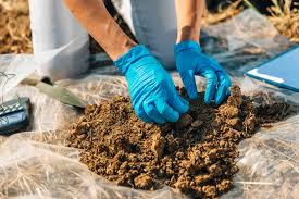 Understanding Your Soil: The First Step to Higher Yields