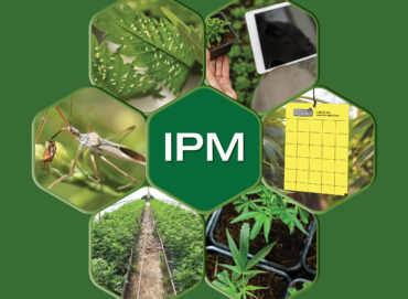How Integrated Crop Protection Saves You Money
