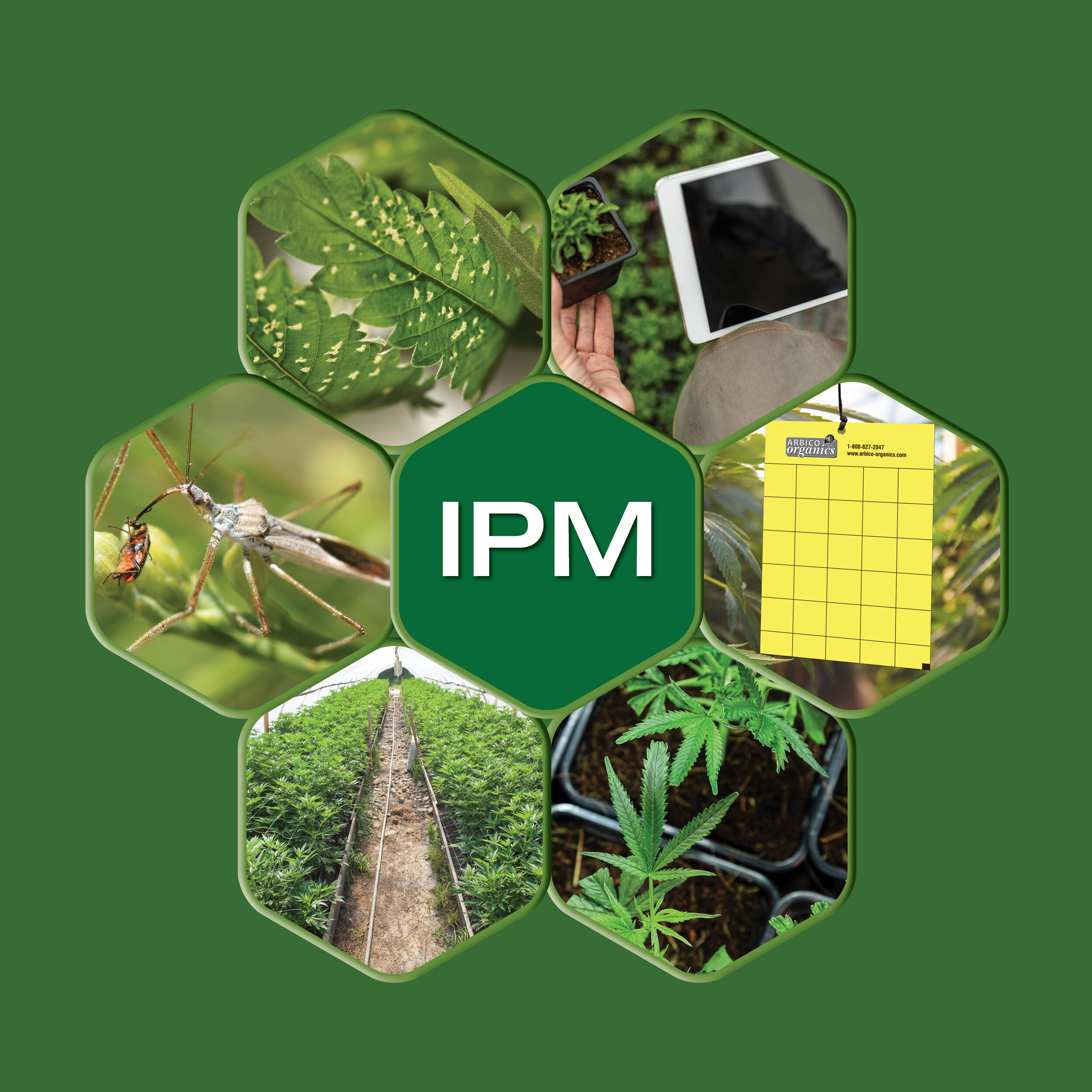 Fight Pests Smarter: How Integrated Crop Protection Saves You Money